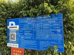 -王借岗森林公园