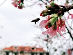 -小南山公园