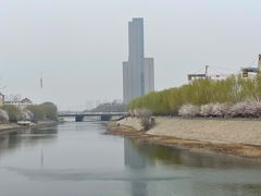 -桃花堤公园