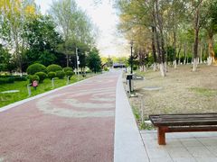 -莫子山公园