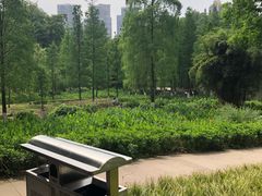 -重庆彩云湖湿地公园