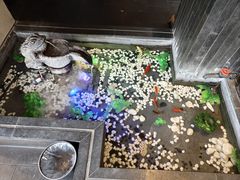 -煜丰汴京烤鸭(福彩路店)