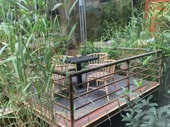 -谷咖啡·鲜花绿植花园餐厅