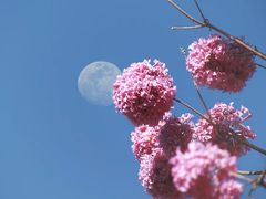 -维乐口腔医院(星海湾分院)