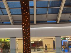 -佐度王子扒房(金安店)