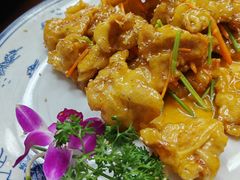 -食鸡公社辣子鸡·潍坊菜·烧烤