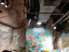 -正佳雨林生态植物园