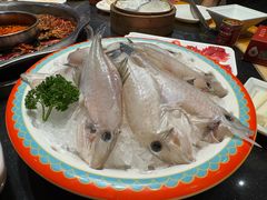 -一斗火锅·招财羊毛肚(北温泉九号店)