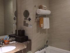 -常州环球恐龙城维景国际大酒店
