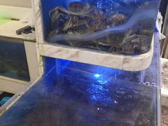 水产区-青石桥市场北1-27号
