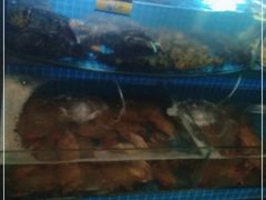 -望海潮海鲜店 特色家常菜(在海一方店)