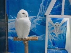 -成都浩海立方海洋公园