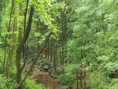 -青城山