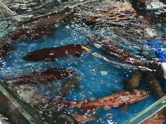 -清水湾3号(东方小周海鲜店)