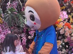 -正佳雨林生态植物园