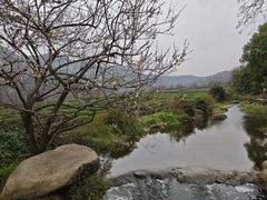 -中国茶叶博物馆(双峰馆区)