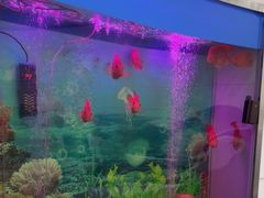 -雅悦齿科(顾村公园店)