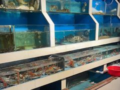 -原龙海鲜大排档(美食地标店)