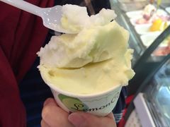 -柠檬车露(卖草地店)
