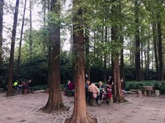 -苏堤停车场
