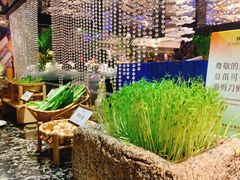 -芭菲盛宴·环球美食(解放碑英利国际店)