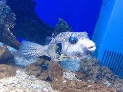 -常州海昌海洋探索馆