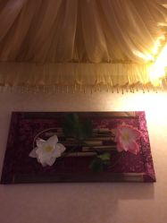 -健身堂科技美肌SPA