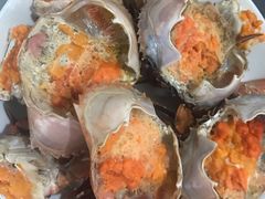 -瑞丽活螃蟹(芒市店)