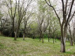 -团城山公园