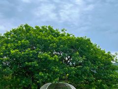 -水底山庄园温泉