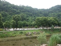 绿树掩映中的观音景区-幕燕滨江·长江观音景区