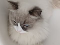 -一间摄影工作室(天安云谷店)