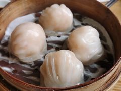 晶莹鲜虾饺-点点心港式茶餐厅(南京西路店)