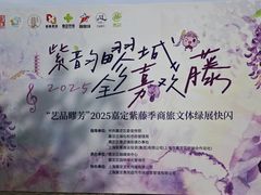 -嘉定紫藤园
