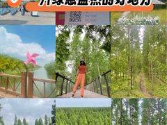 -黄海国家森林公园