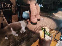 -咖法森林·咖啡  酒吧(天河店)