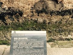 -小洲村