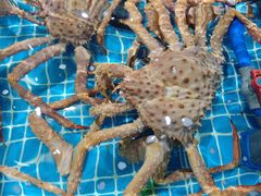 -巧克力渔家.小船海鲜胶东菜(万平口店)