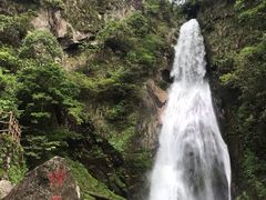 -炎陵县神农谷国家森林公园