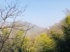 -紫金山山顶公园