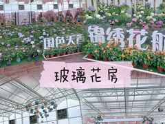 -盈香心动乐园
