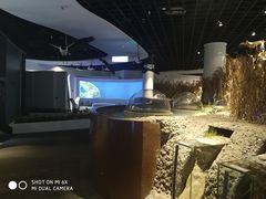 -上海长江河口科技馆