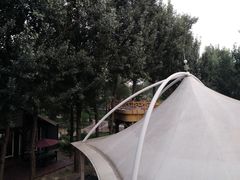 -林栖谷森林康养度假区