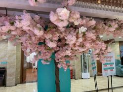 -重庆军美医疗美容医院