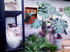 -北马山庄植趣咖啡