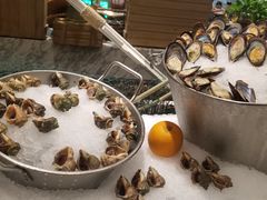 -沈阳和平艾美酒店新食谱西餐厅