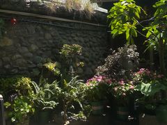 -尽善百年古院餐厅(王家老宅店)