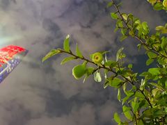 -勝記酒家·37年老字号·经典粤菜(荔枝公园店)