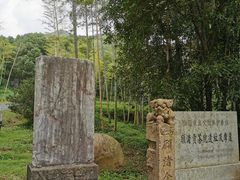 -大唐贡茶院