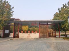 -大望京公园